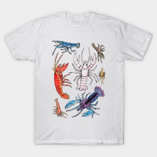 Colorful Aquatic Crayfish Species in Watercolor painting T-Shirt